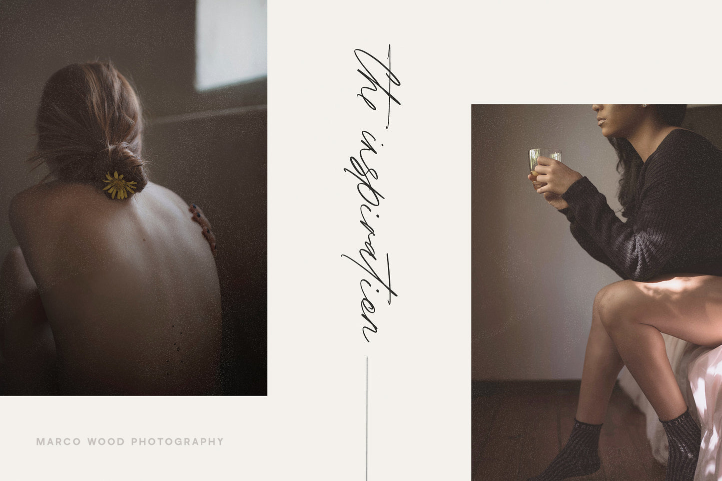 Olivie Font Duo / Script & Sans