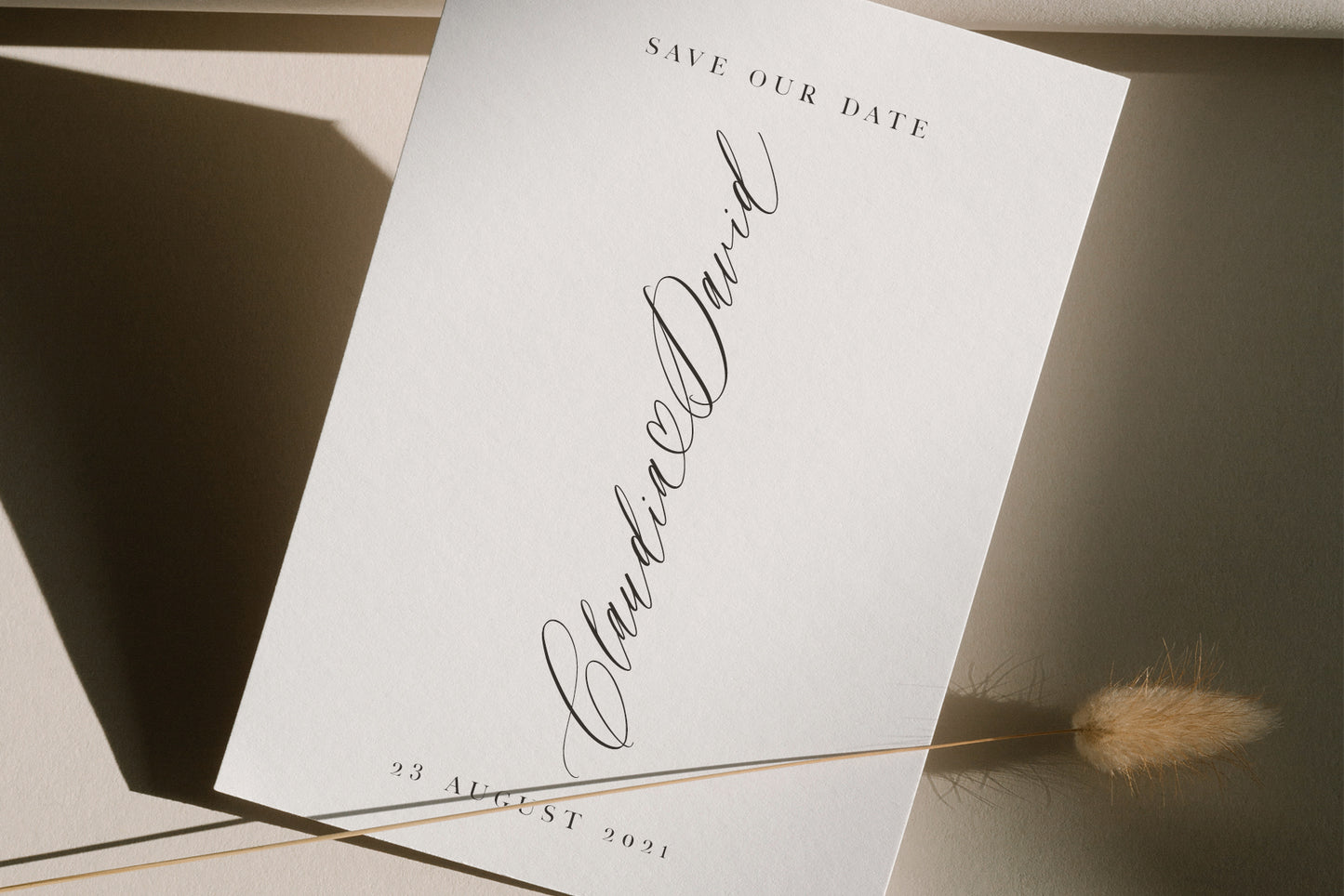 Saint Viet | Calligraphy Font