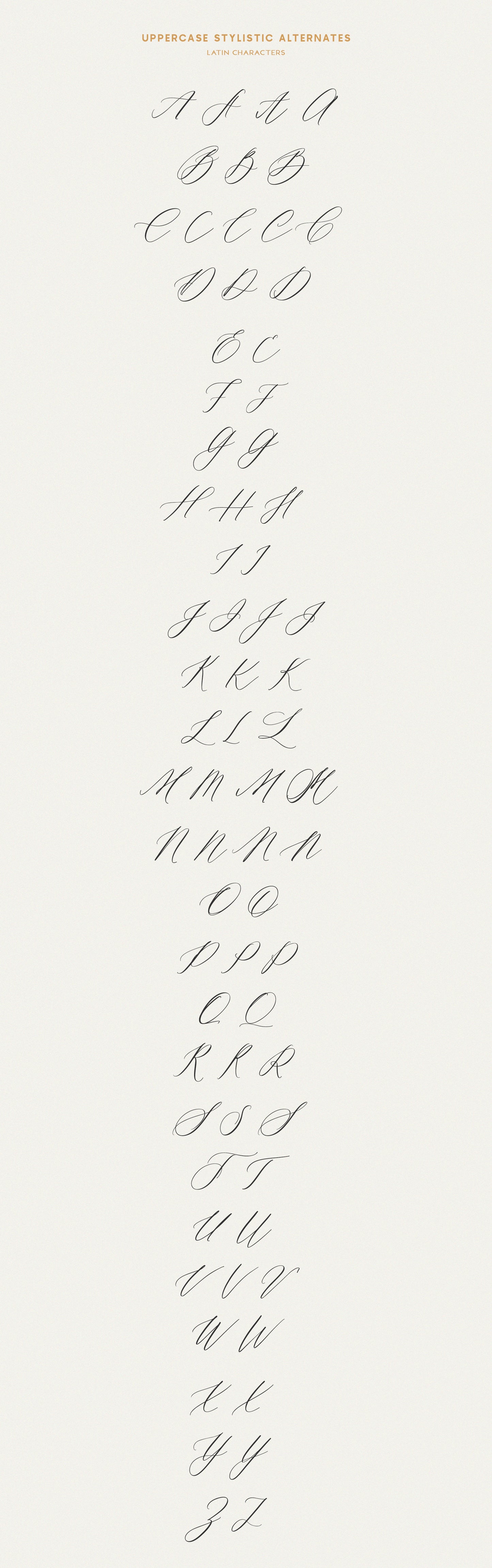 Saint Viet | Calligraphy Font