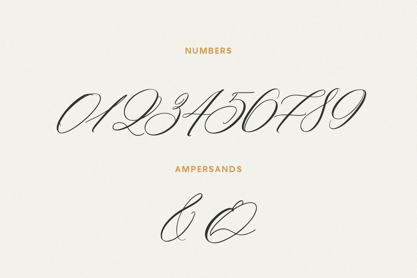 Saint Viet | Calligraphy Font