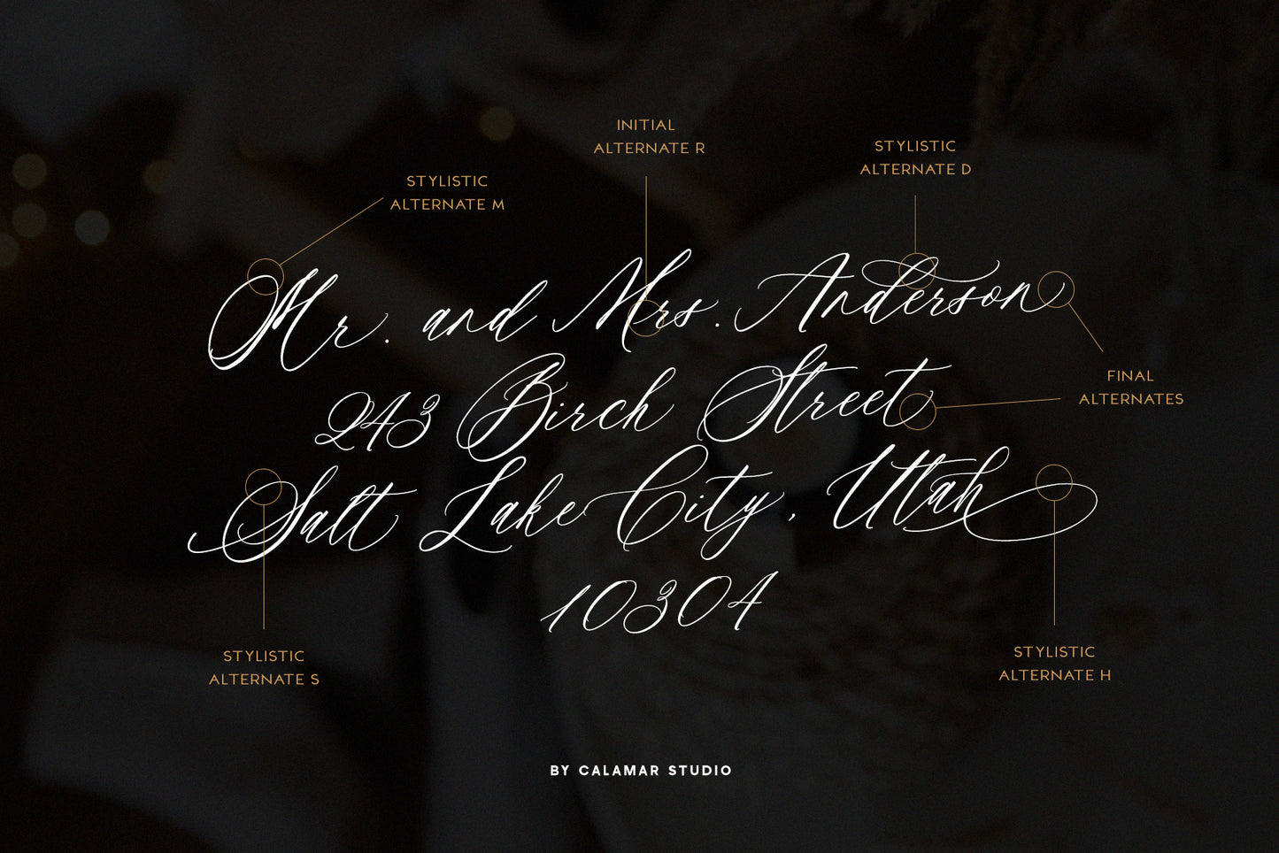 Saint Viet | Calligraphy Font