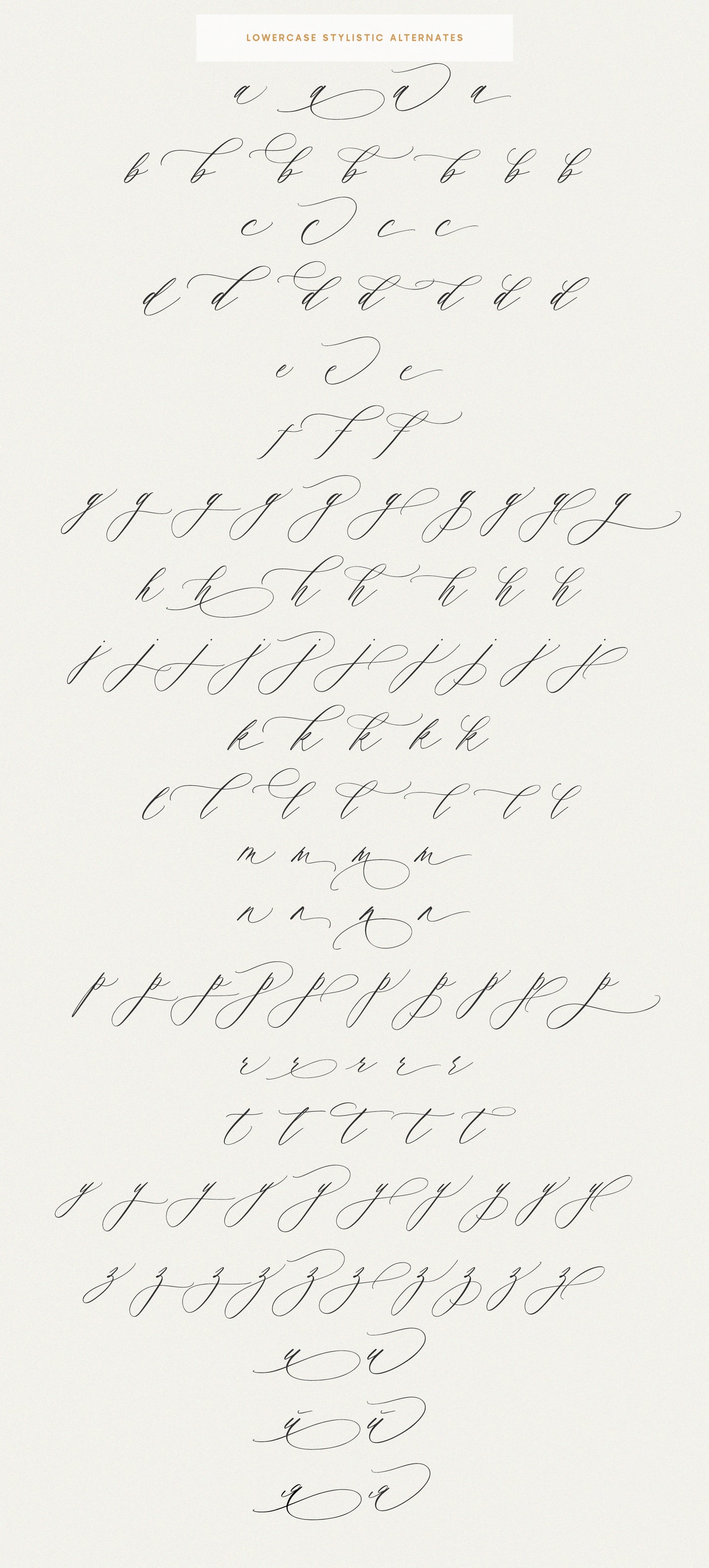 Saint Viet | Calligraphy Font