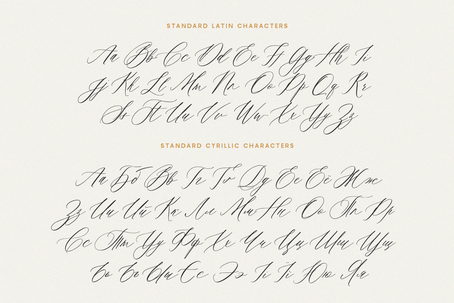 Saint Viet | Calligraphy Font