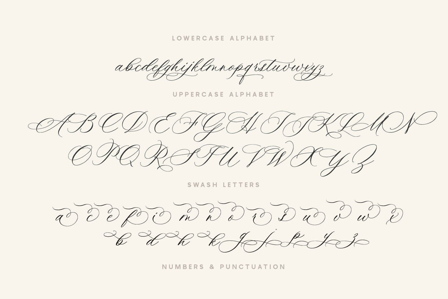 Ms Claudy | Wedding Calligraphy Font