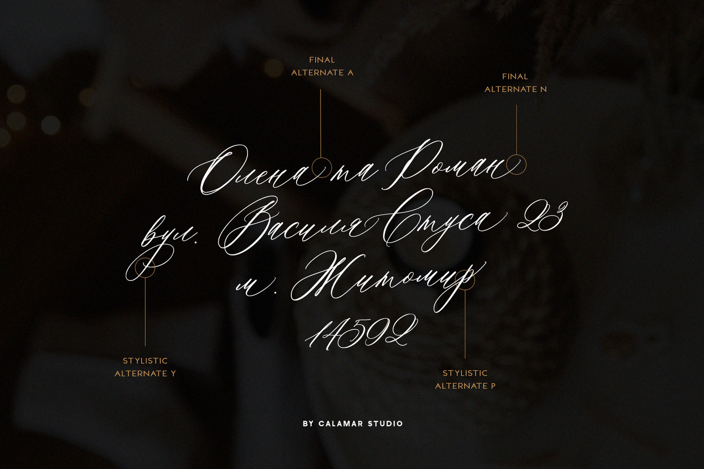 Saint Viet | Calligraphy Font