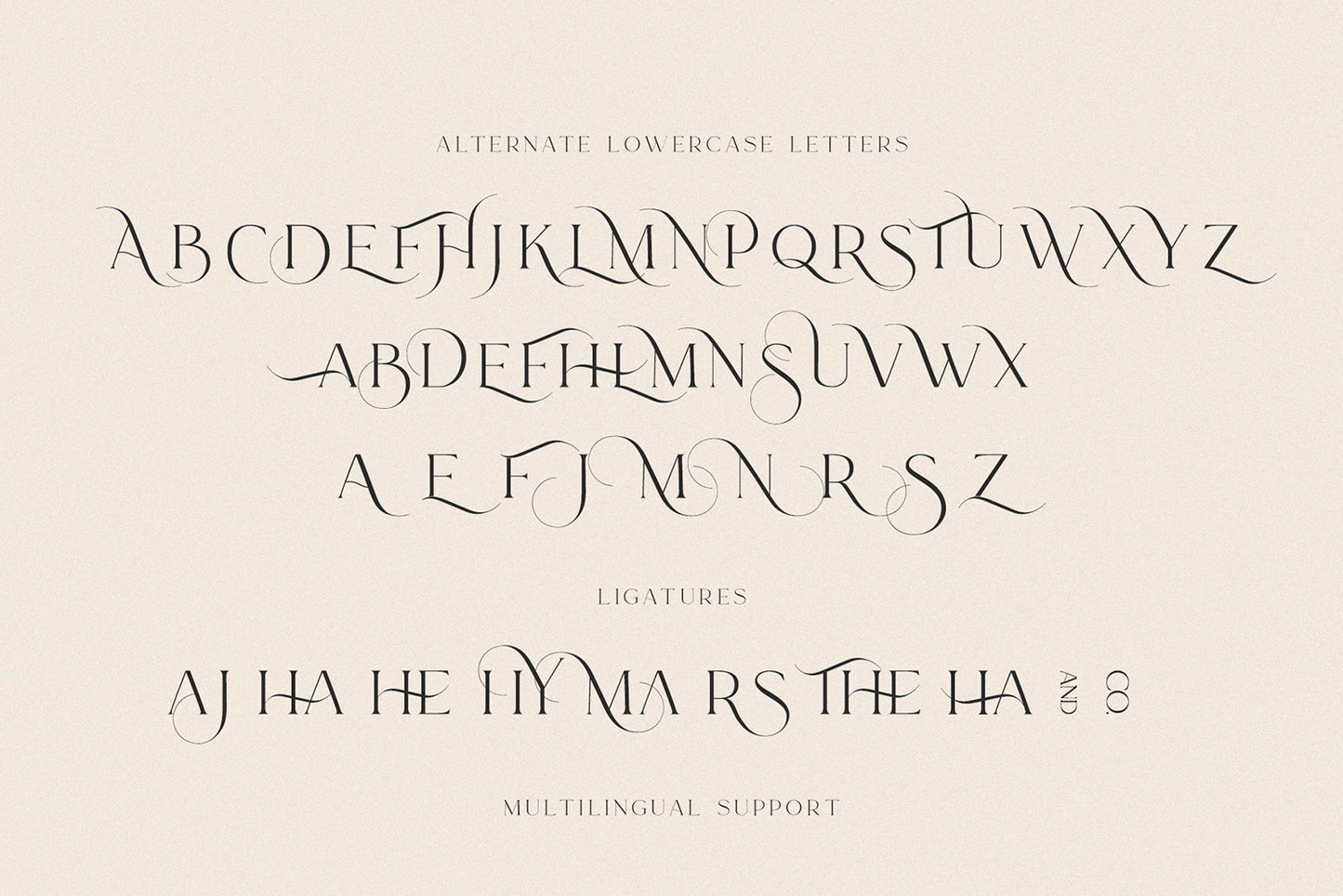 Le Major | Display Serif Font