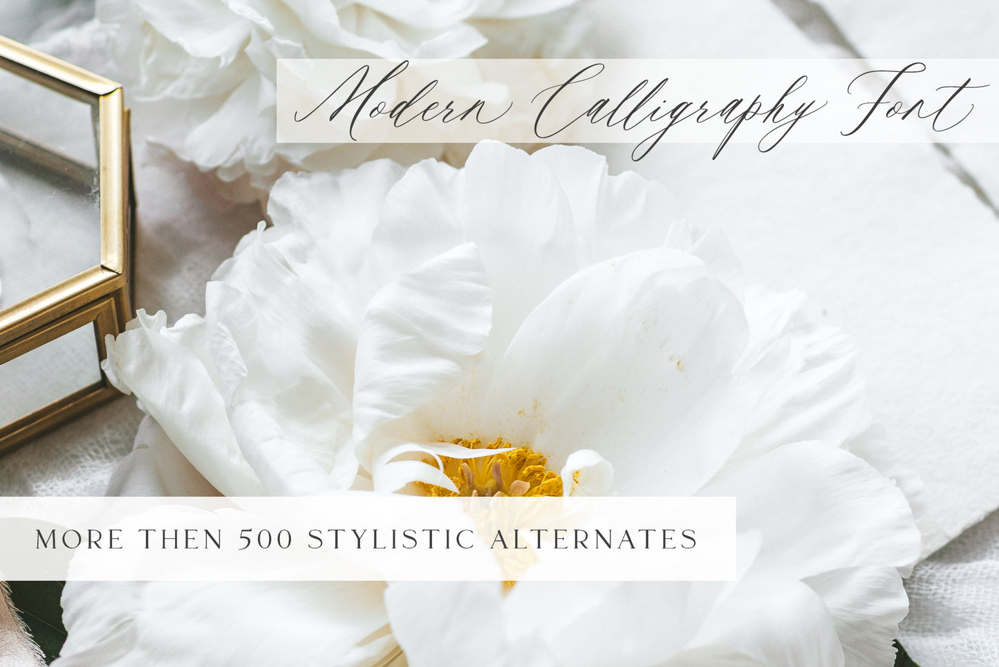 Saint Viet | Calligraphy Font