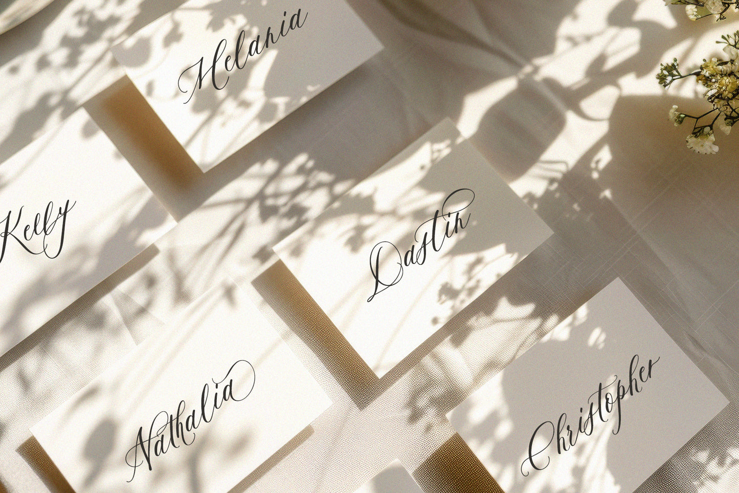 Franchesca | Wedding Calligraphy Font