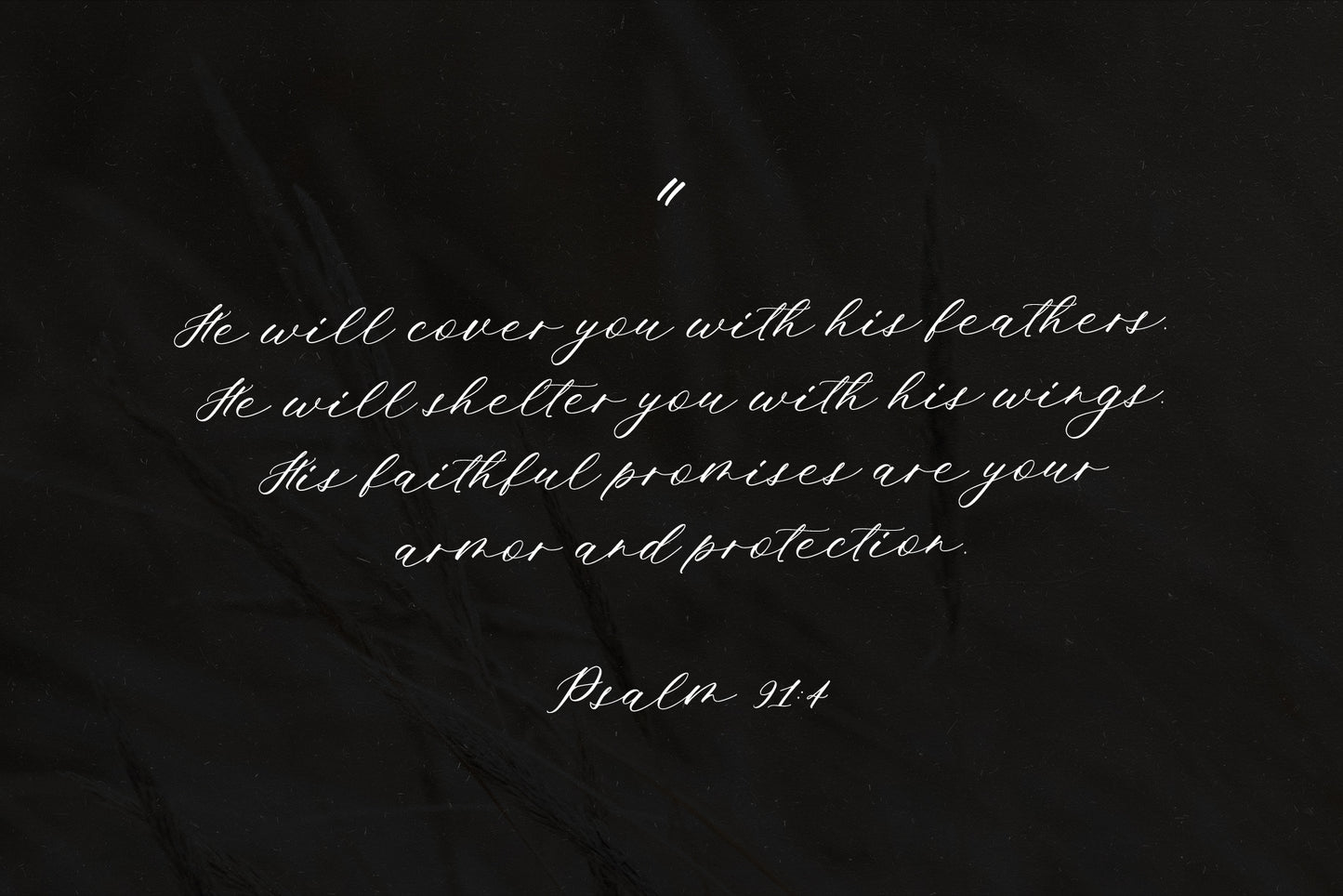 Ms. Augustine Calligraphy Font