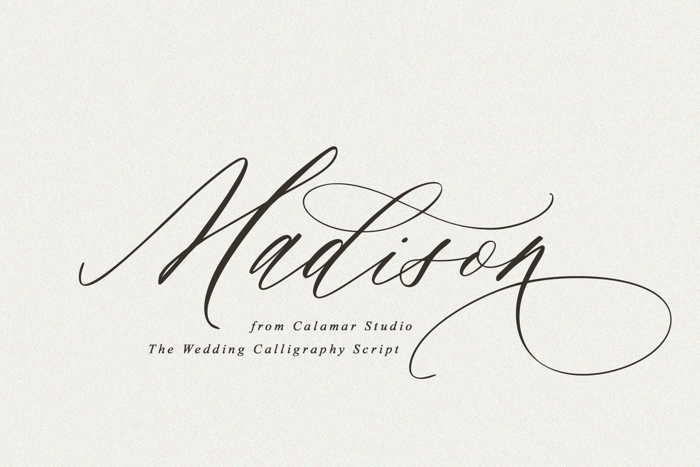 Wedding Fonts, Handwritten Script Font