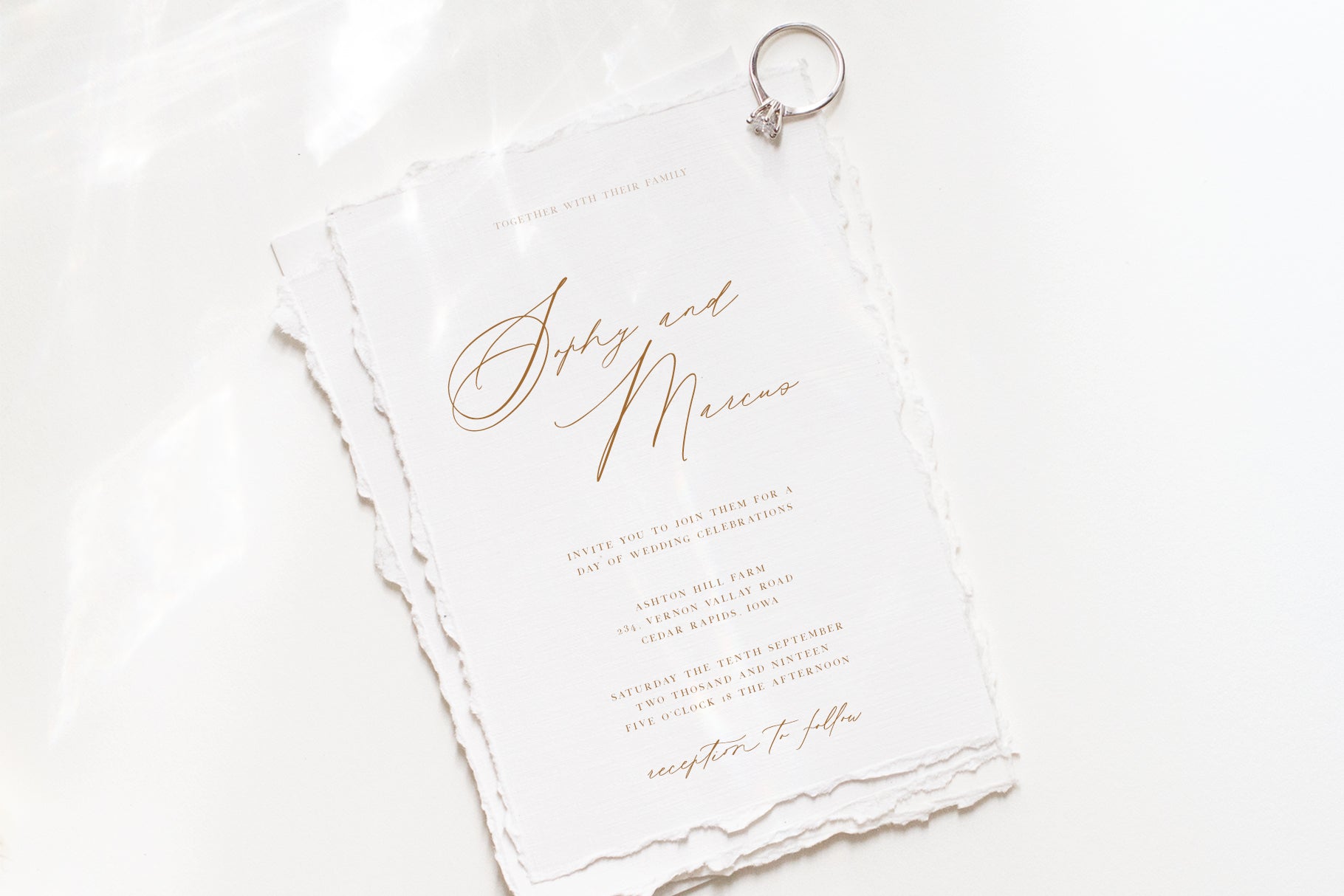 Elegant Calligraphy Font Duo for Wedding Invitations 7