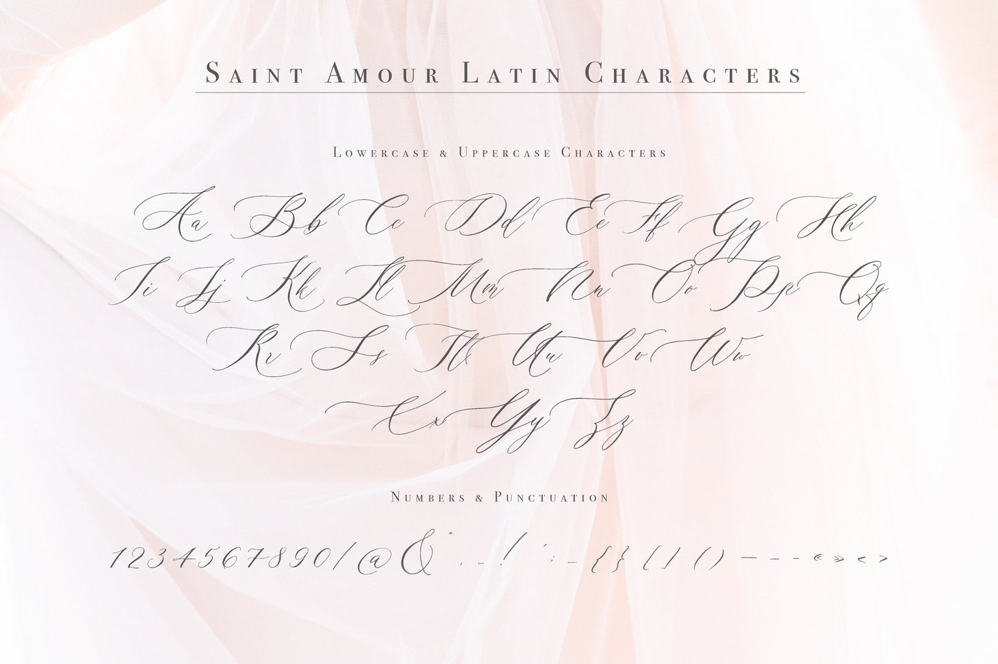 Saint Amour | Wedding Calligraphy Font