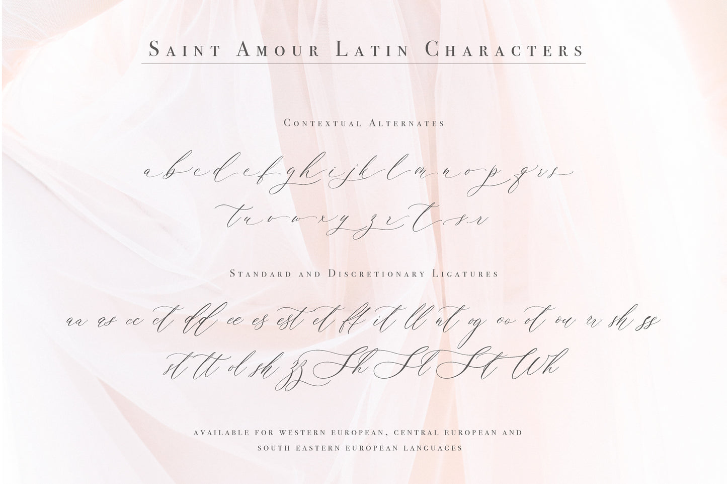 Saint Amour | Wedding Calligraphy Font