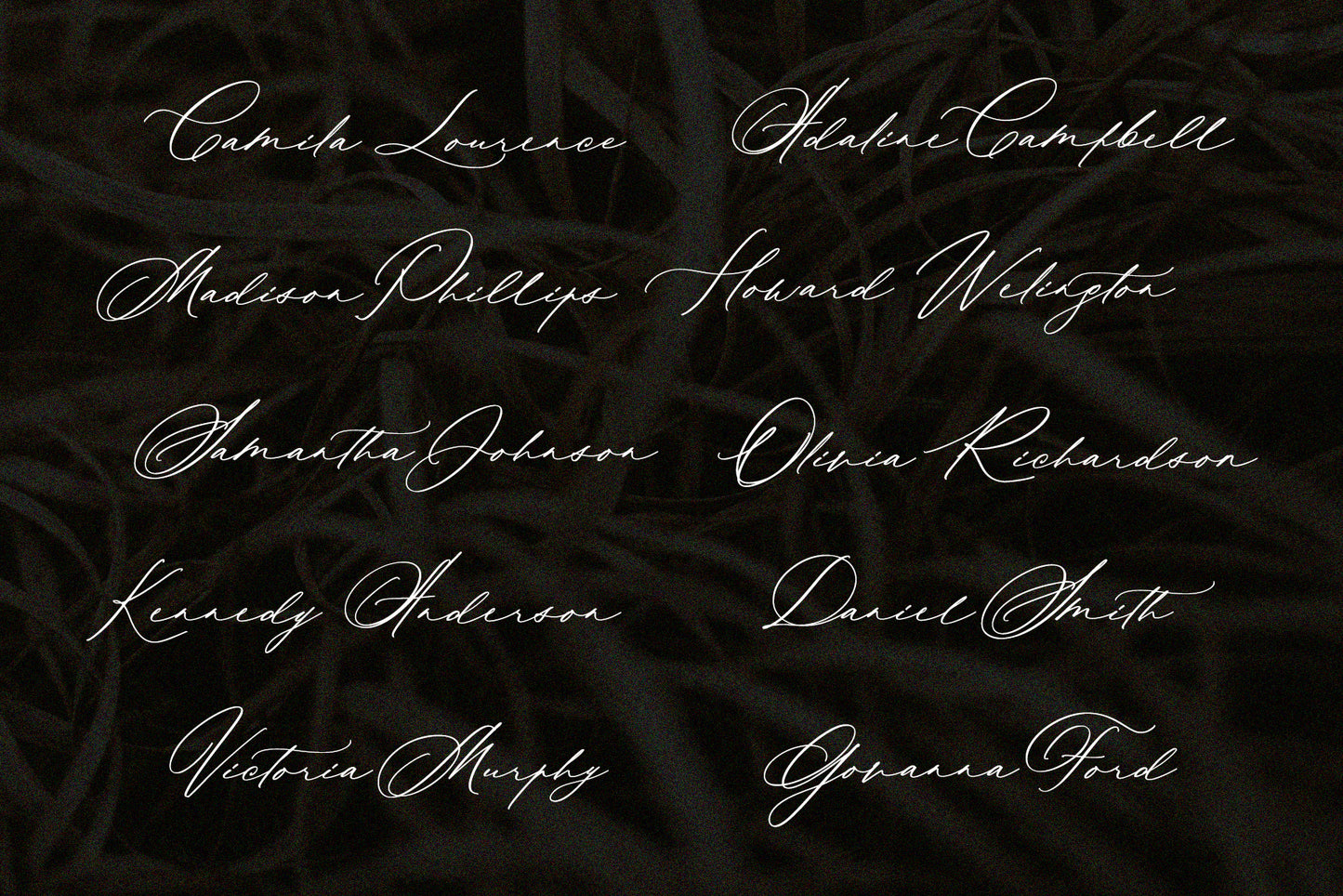 Wedding Calligraphy font 11